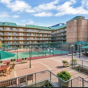 City - Free Parking, 3 Bedrooms And 2 Bathrooms , Adelaide Australia